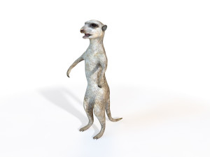 meerkat rigged animal Modelo 3D