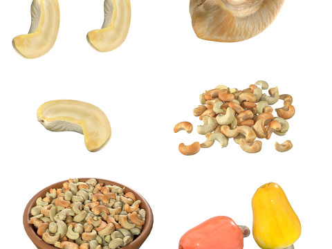 Cashew fruit set 3D Модель