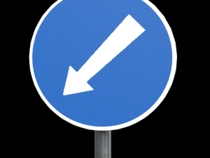 compulsory keep left roadsign 3D Model