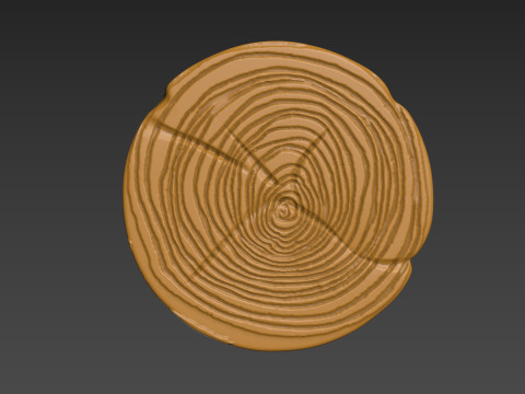 Wood Slice Stump Cut trunk Tree cross-section 3D 打印模型